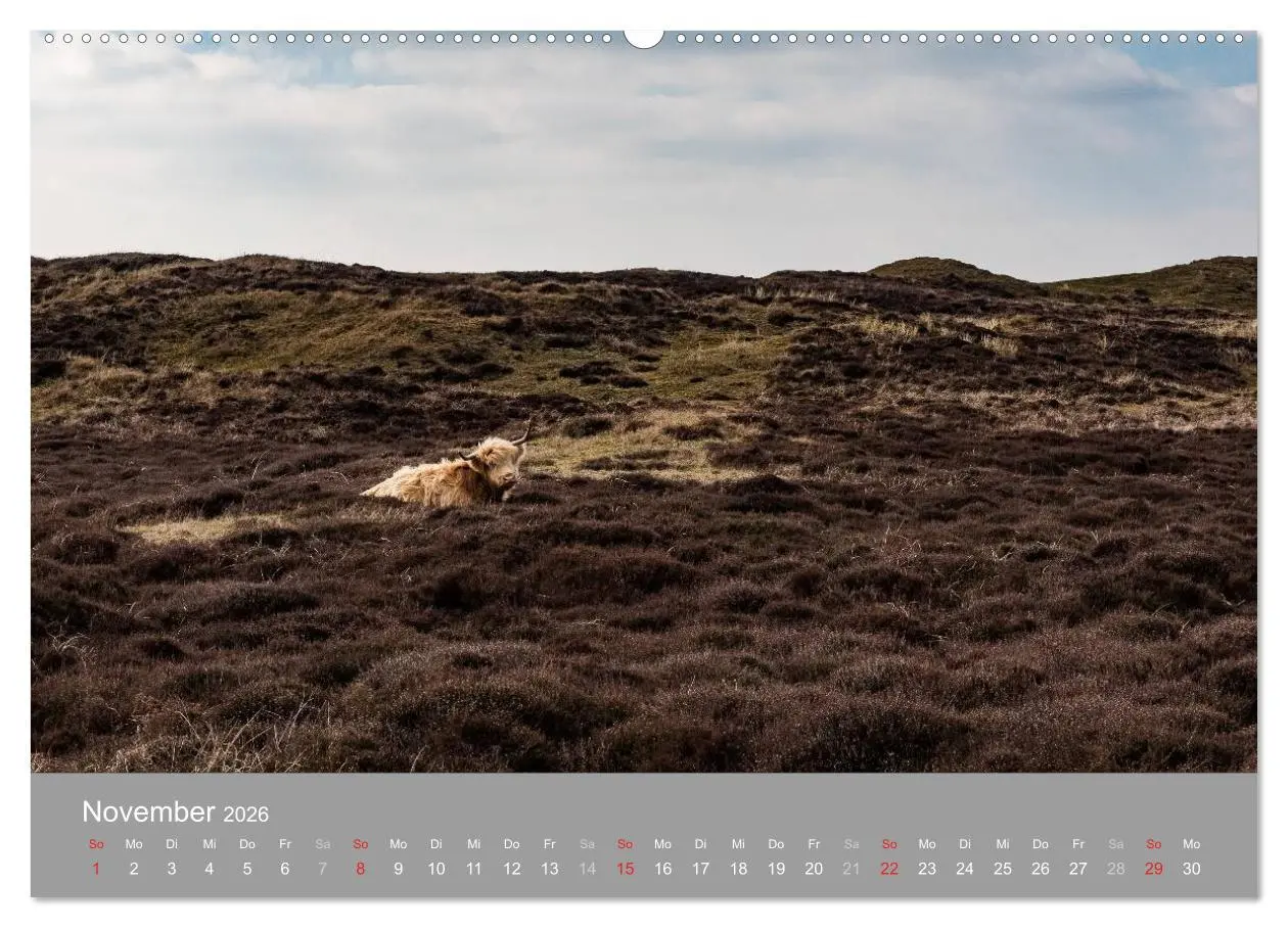 Bild: 9783457984635 | Texel - Meine Insel (Wandkalender 2026 DIN A2 quer), CALVENDO...
