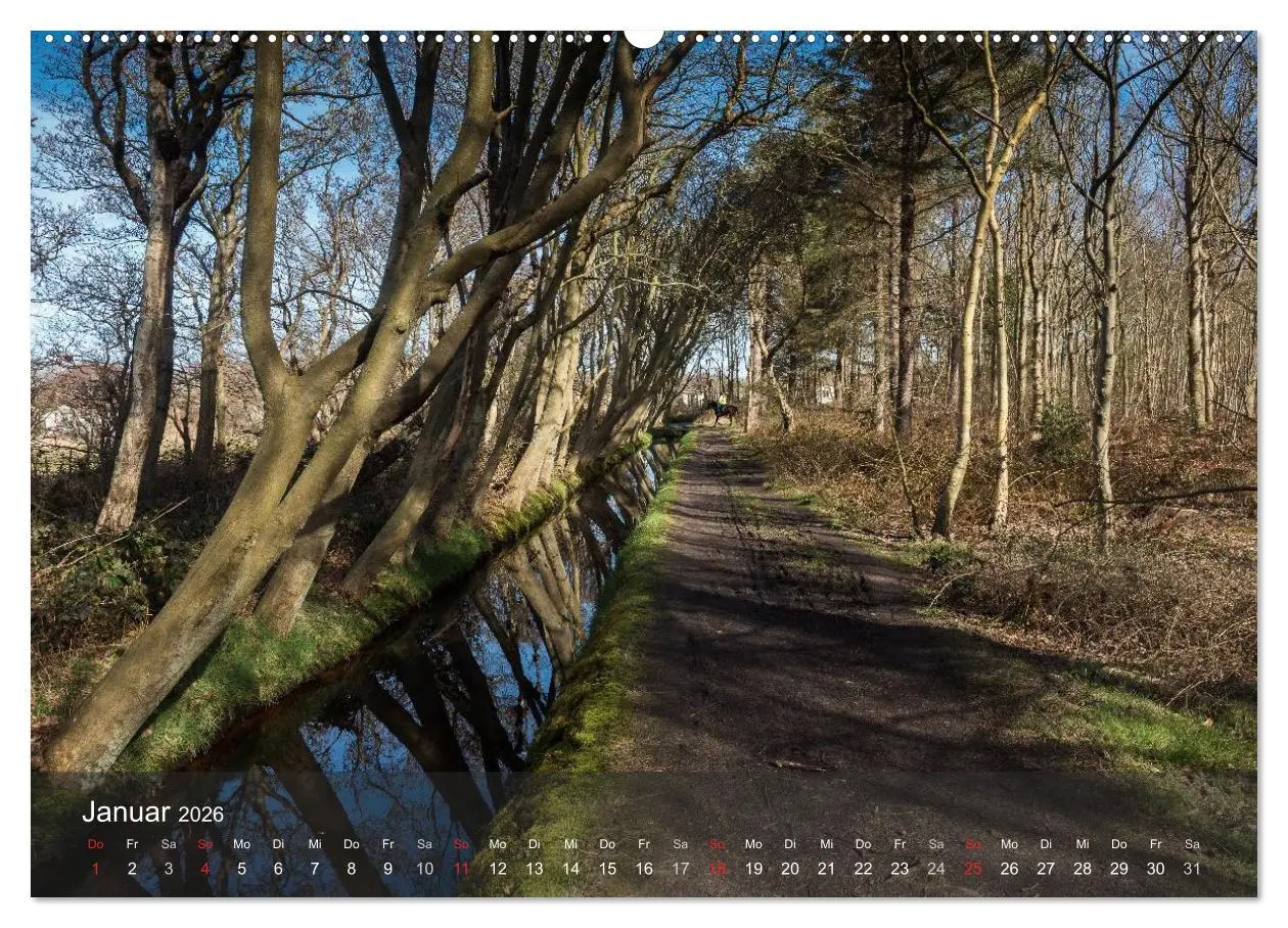 Bild: 9783457984635 | Texel - Meine Insel (Wandkalender 2026 DIN A2 quer), CALVENDO...