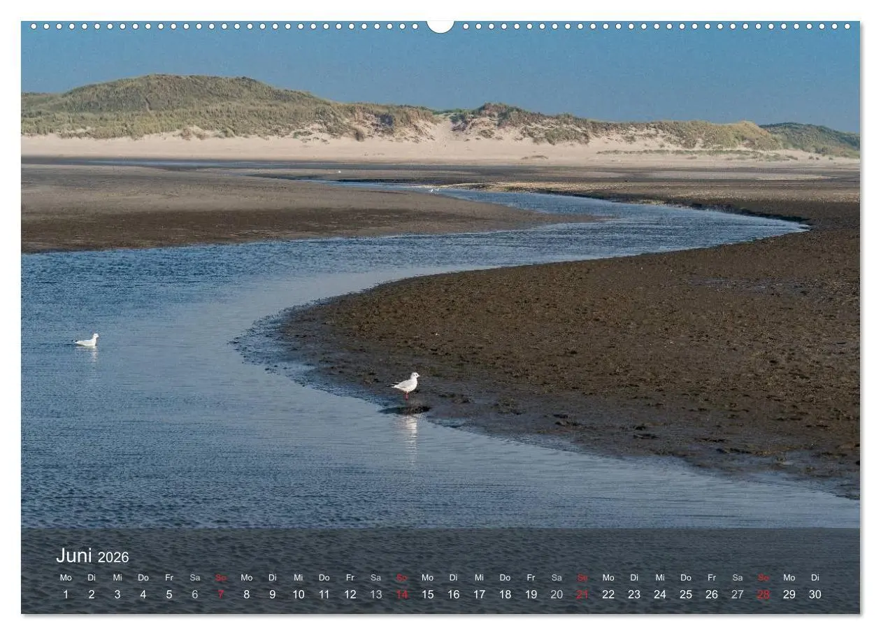 Bild: 9783457984635 | Texel - Meine Insel (Wandkalender 2026 DIN A2 quer), CALVENDO...