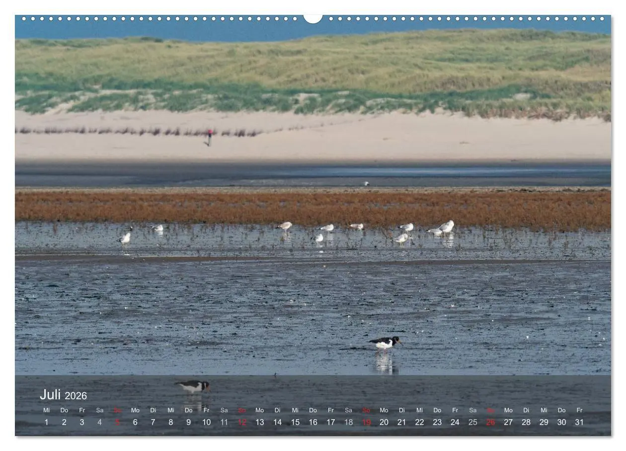 Bild: 9783457984635 | Texel - Meine Insel (Wandkalender 2026 DIN A2 quer), CALVENDO...