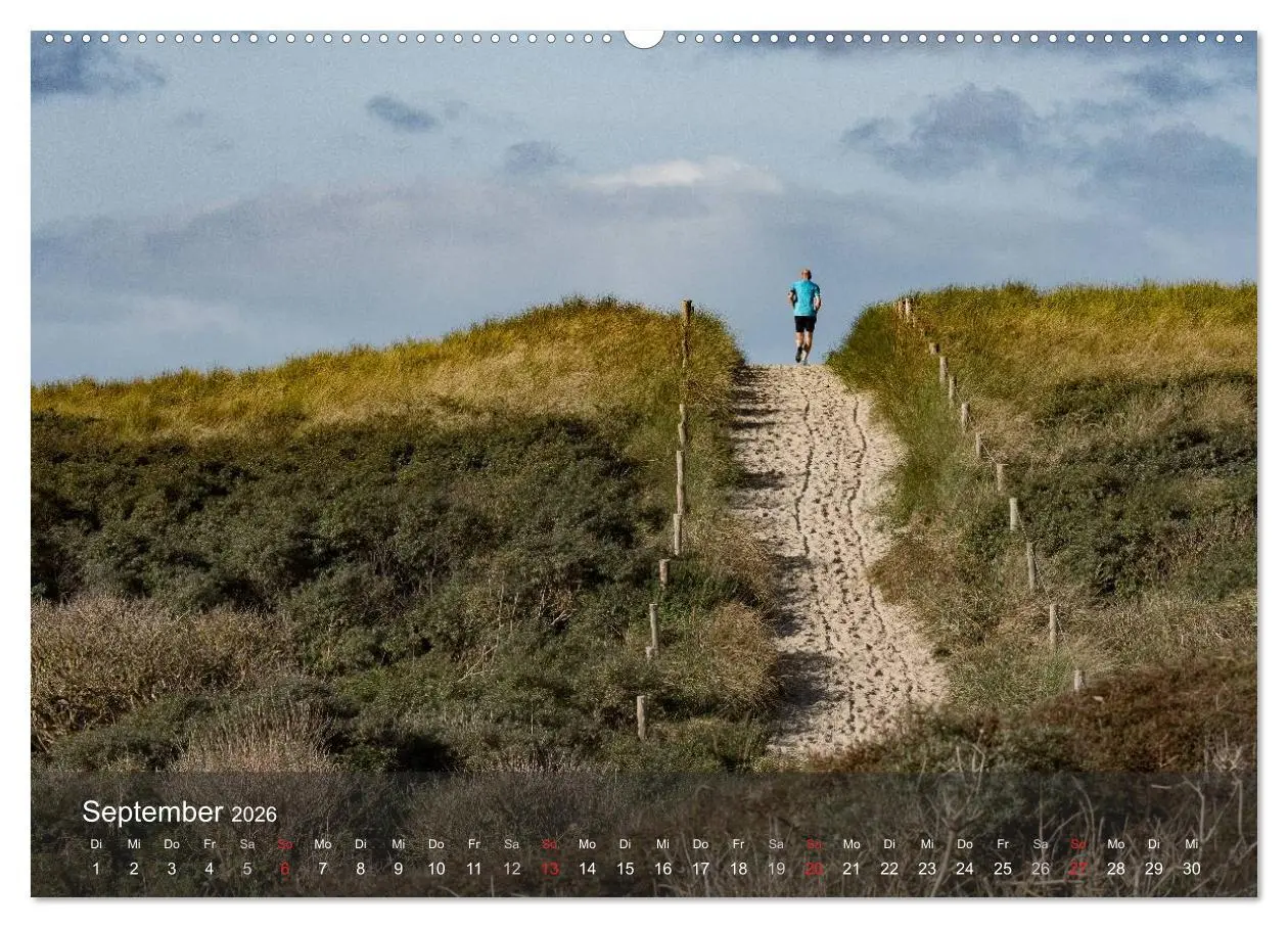 Bild: 9783457984635 | Texel - Meine Insel (Wandkalender 2026 DIN A2 quer), CALVENDO...