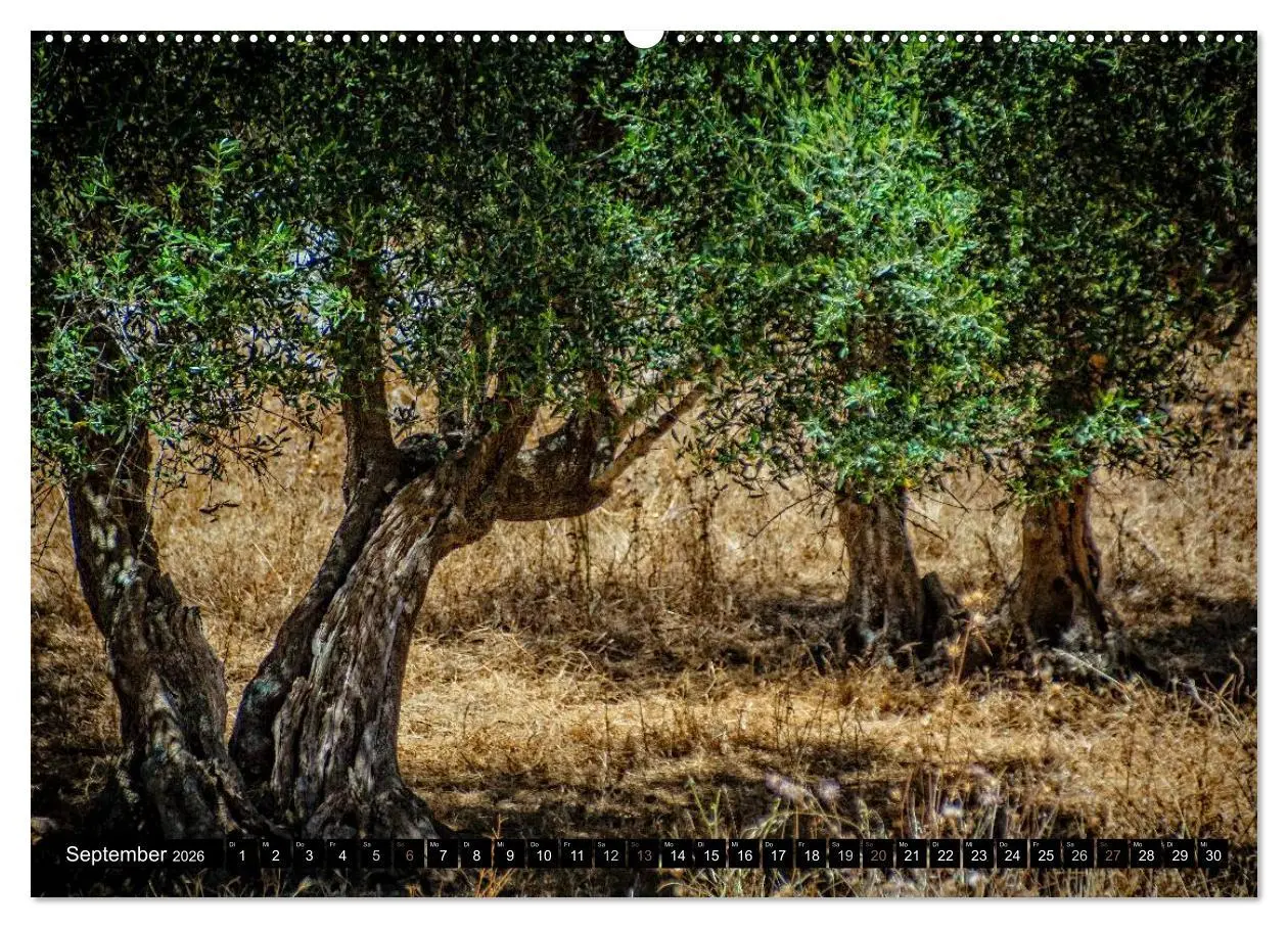 Bild: 9783516074635 | Mediterrane Ansichten 2026 (hochwertiger Premium Wandkalender 2026...