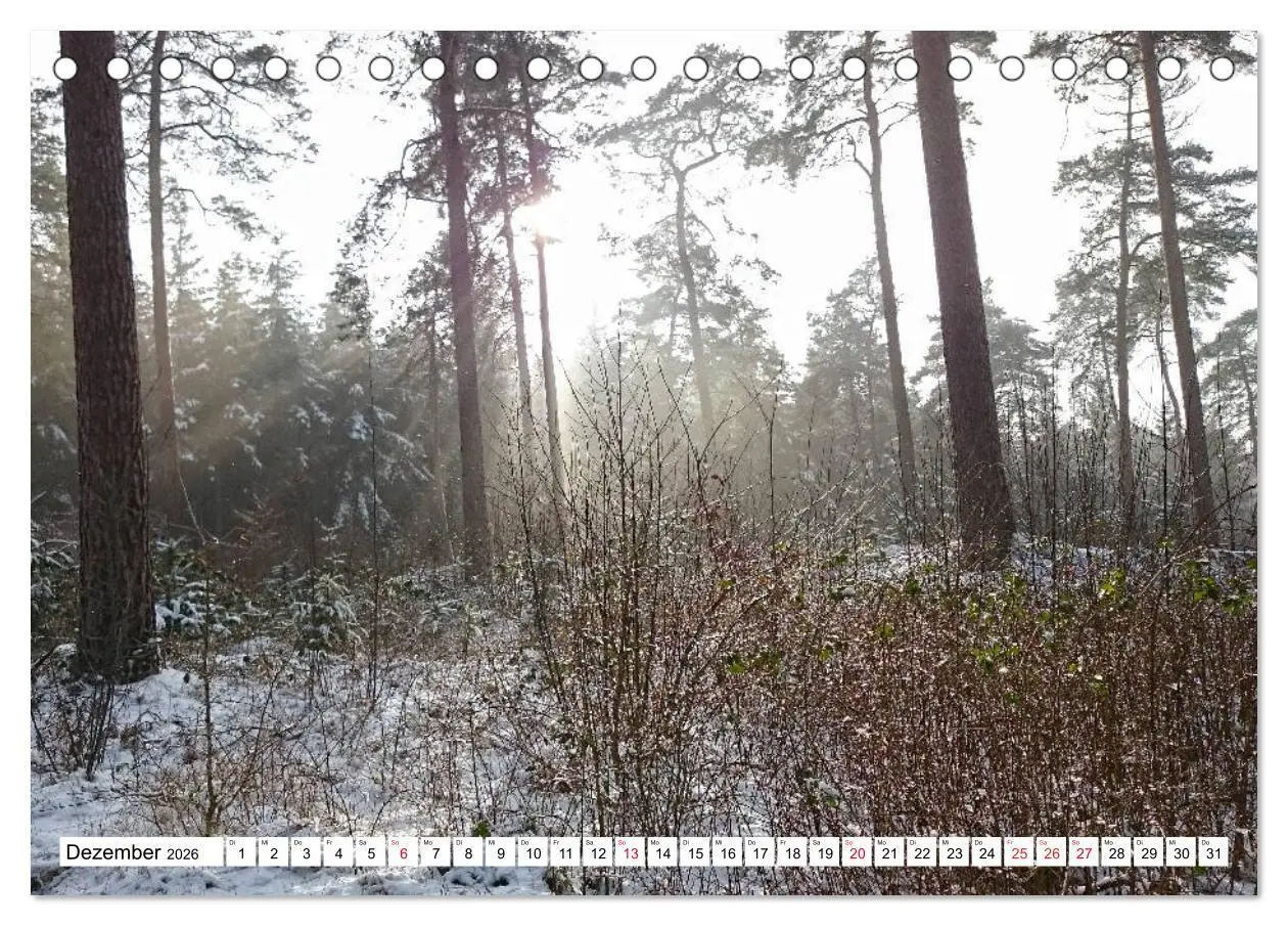 Bild: 9783516144635 | LINGEN an der Ems (Tischkalender 2026 DIN A5 quer), CALVENDO...