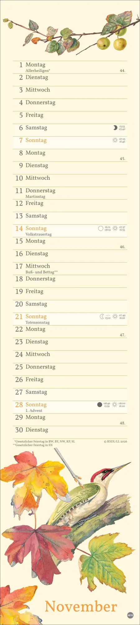 Bild: 9783756414635 | Edith Holden: Mit der Natur durchs Jahr Kalender 2027 | Edith Holden