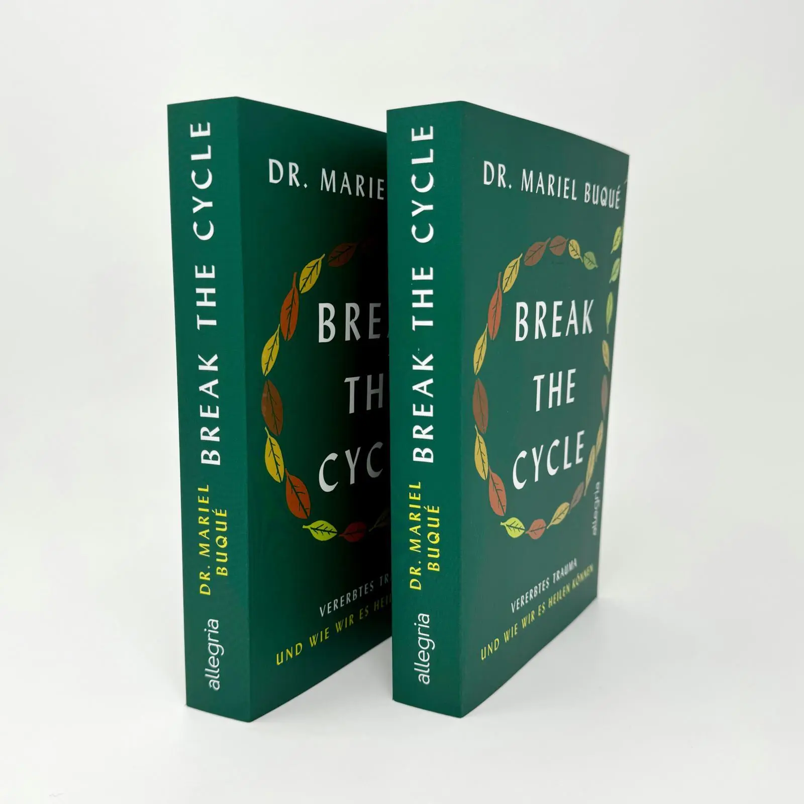 Bild: 9783793424635 | Break the Cycle | Mariel Buqué | Taschenbuch | 336 S. | Deutsch | 2024