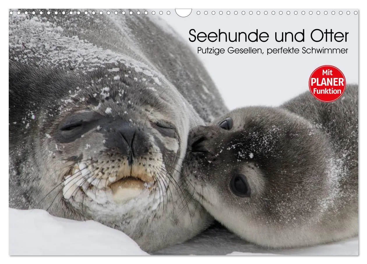 Cover: 9783457974735 | Seehunde und Otter. Putzige Gesellen, perfekte Schwimmer...