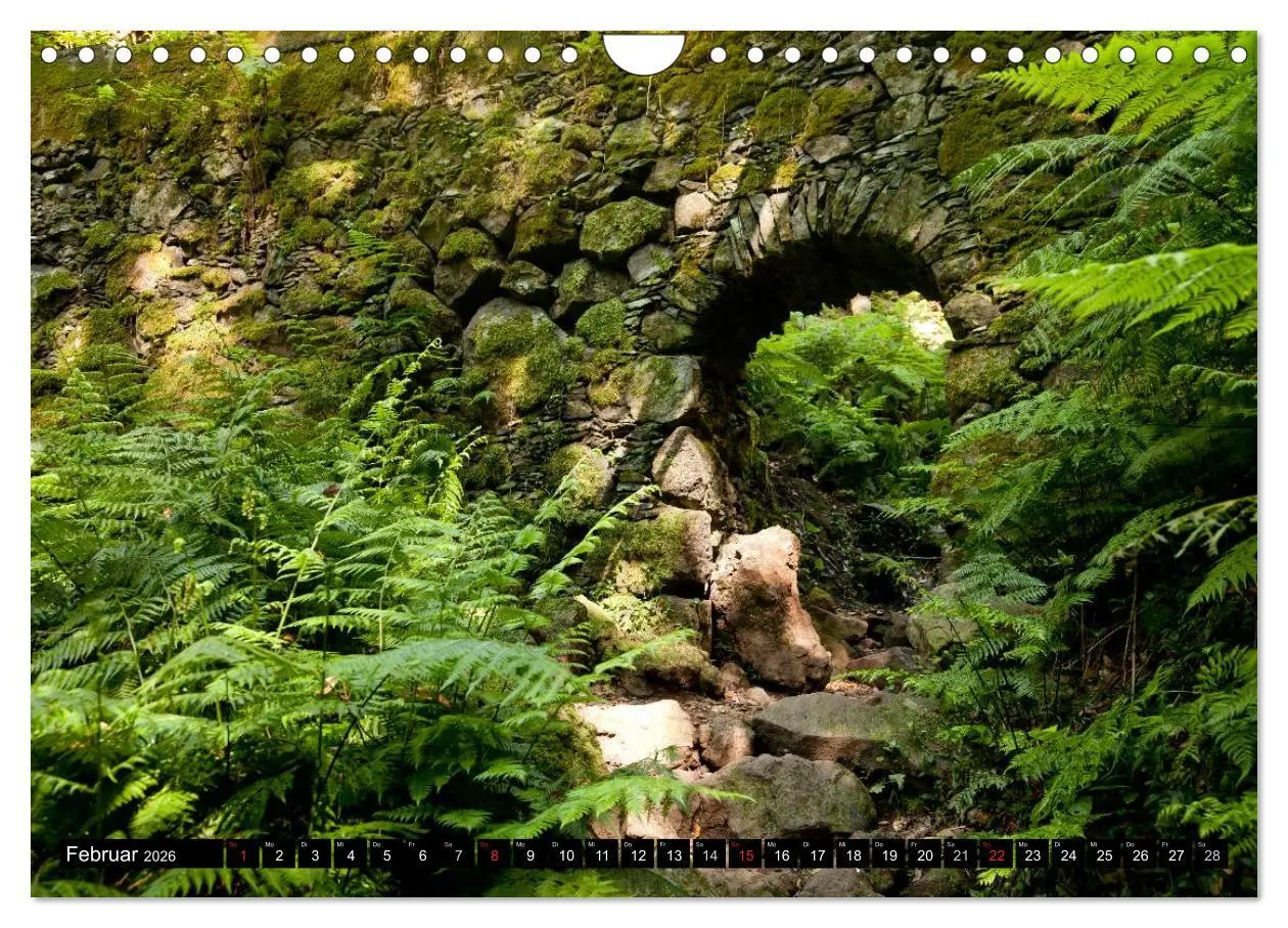 Bild: 9783516134735 | San Miguel de la Palma (Wandkalender 2026 DIN A4 quer), CALVENDO...