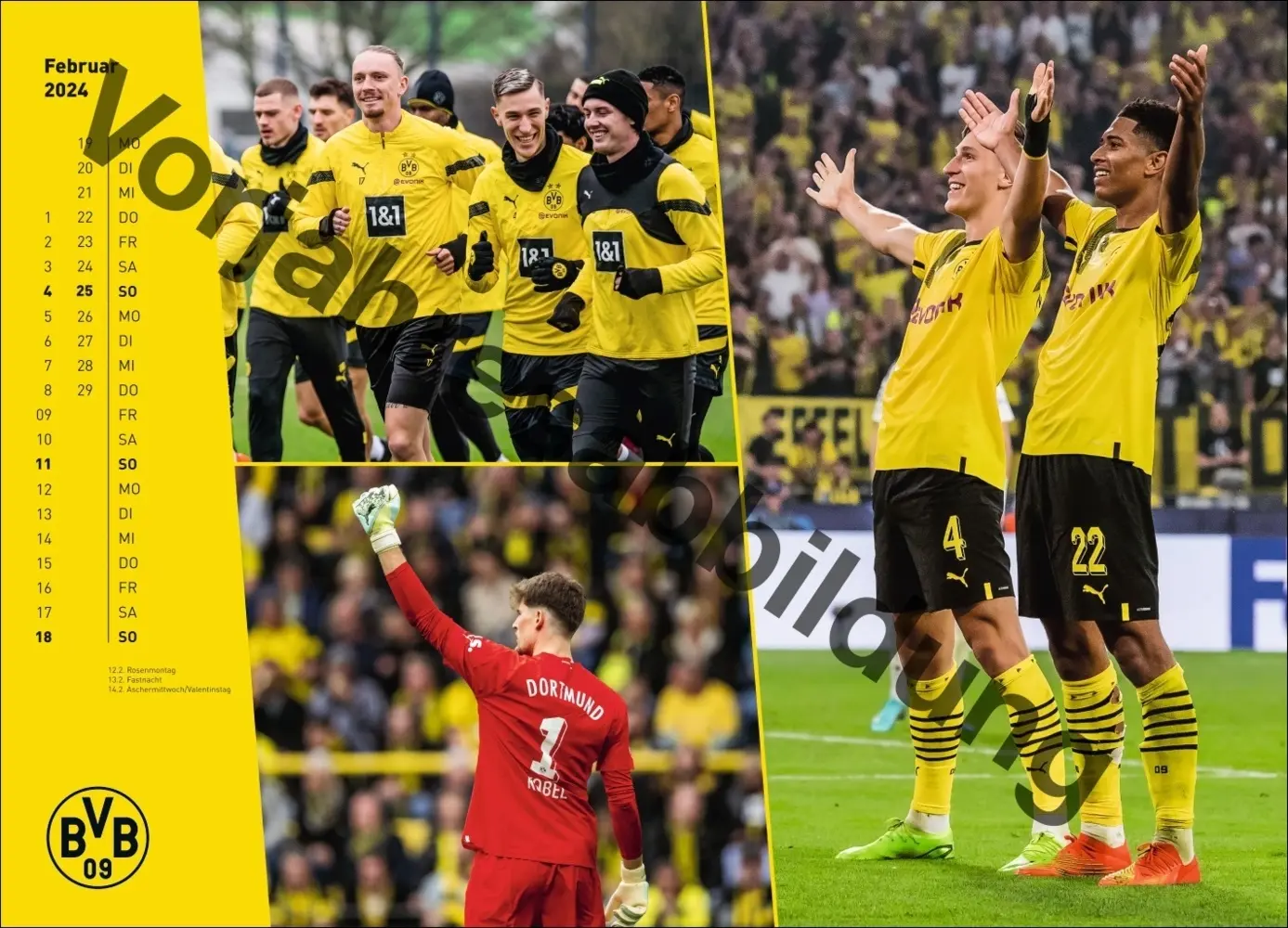 Bild: 9783756404735 | BVB Edition Kalender 2025 | Kalender | Spiralbindung | Deutsch | 2025