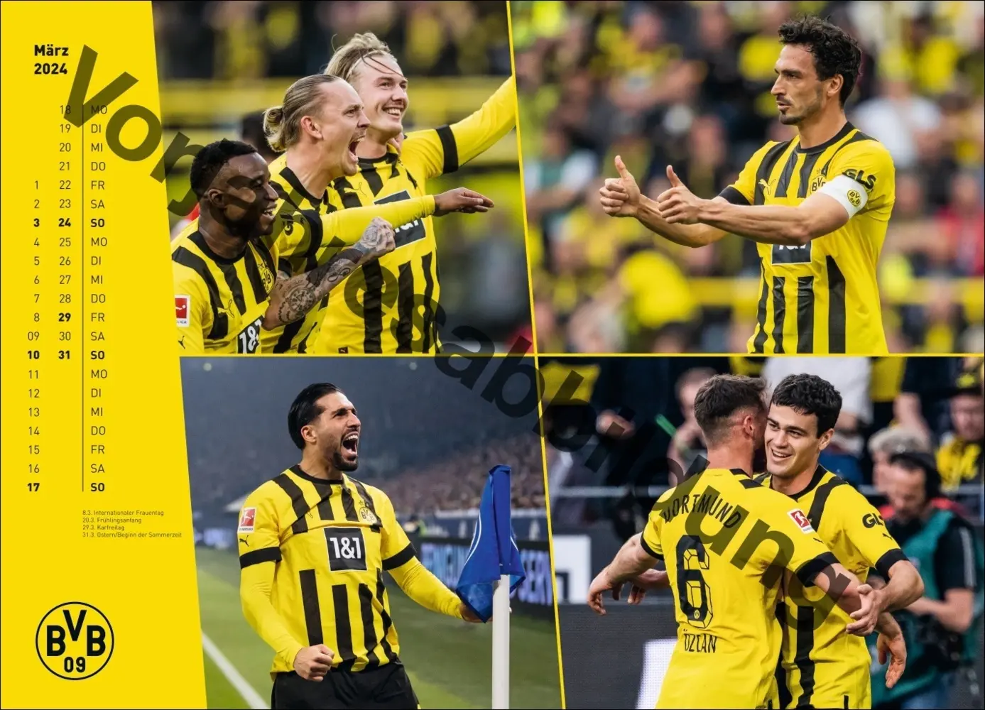 Bild: 9783756404735 | BVB Edition Kalender 2025 | Kalender | Spiralbindung | Deutsch | 2025