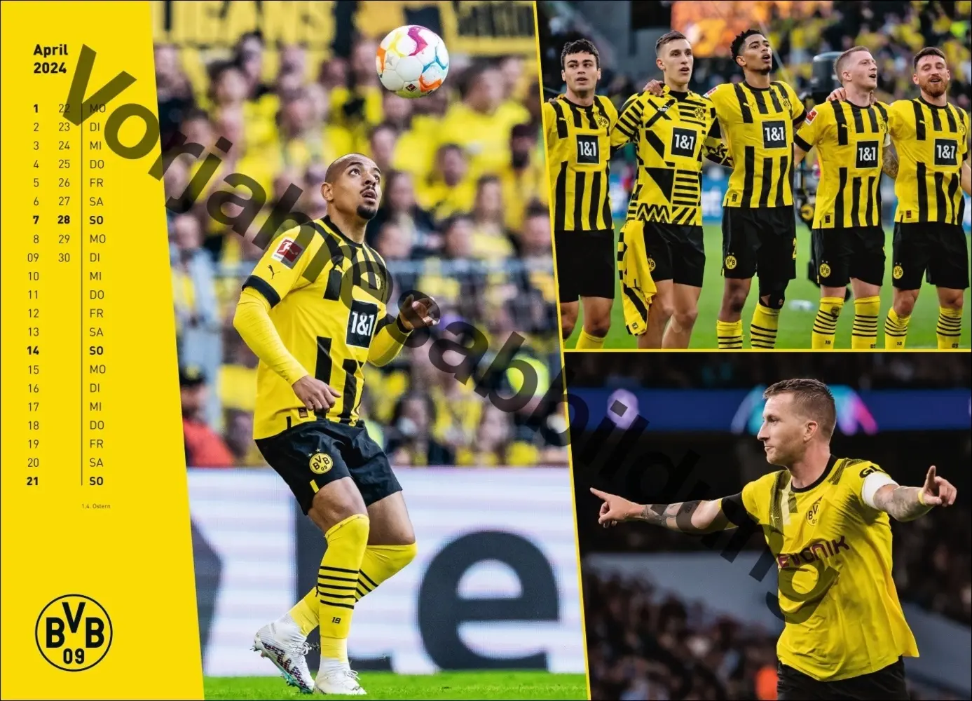 Bild: 9783756404735 | BVB Edition Kalender 2025 | Kalender | Spiralbindung | Deutsch | 2025
