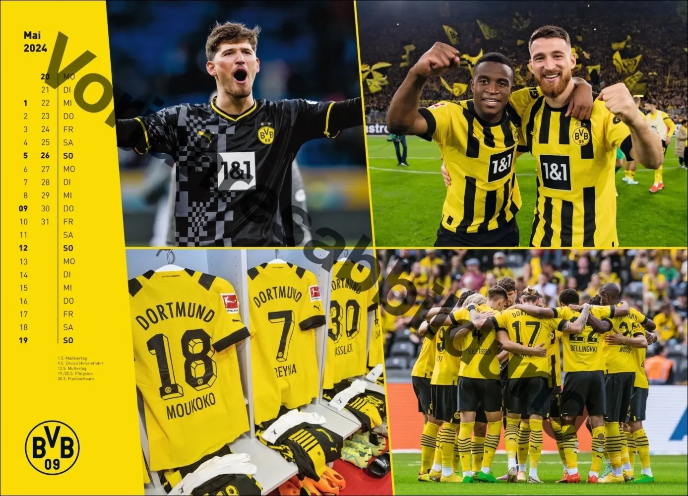 Bild: 9783756404735 | BVB Edition Kalender 2025 | Kalender | Spiralbindung | Deutsch | 2025