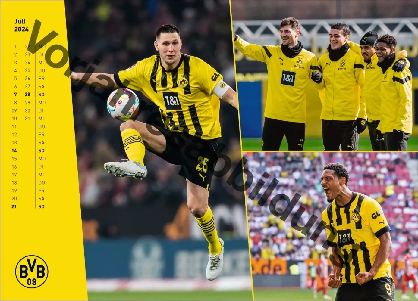 Bild: 9783756404735 | BVB Edition Kalender 2025 | Kalender | Spiralbindung | Deutsch | 2025