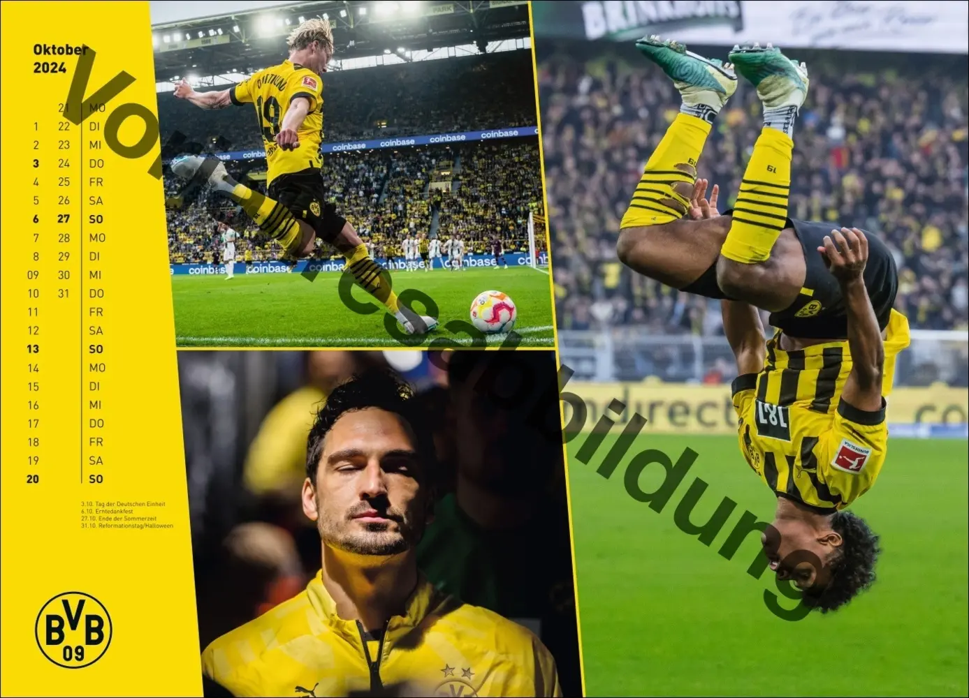 Bild: 9783756404735 | BVB Edition Kalender 2025 | Kalender | Spiralbindung | Deutsch | 2025
