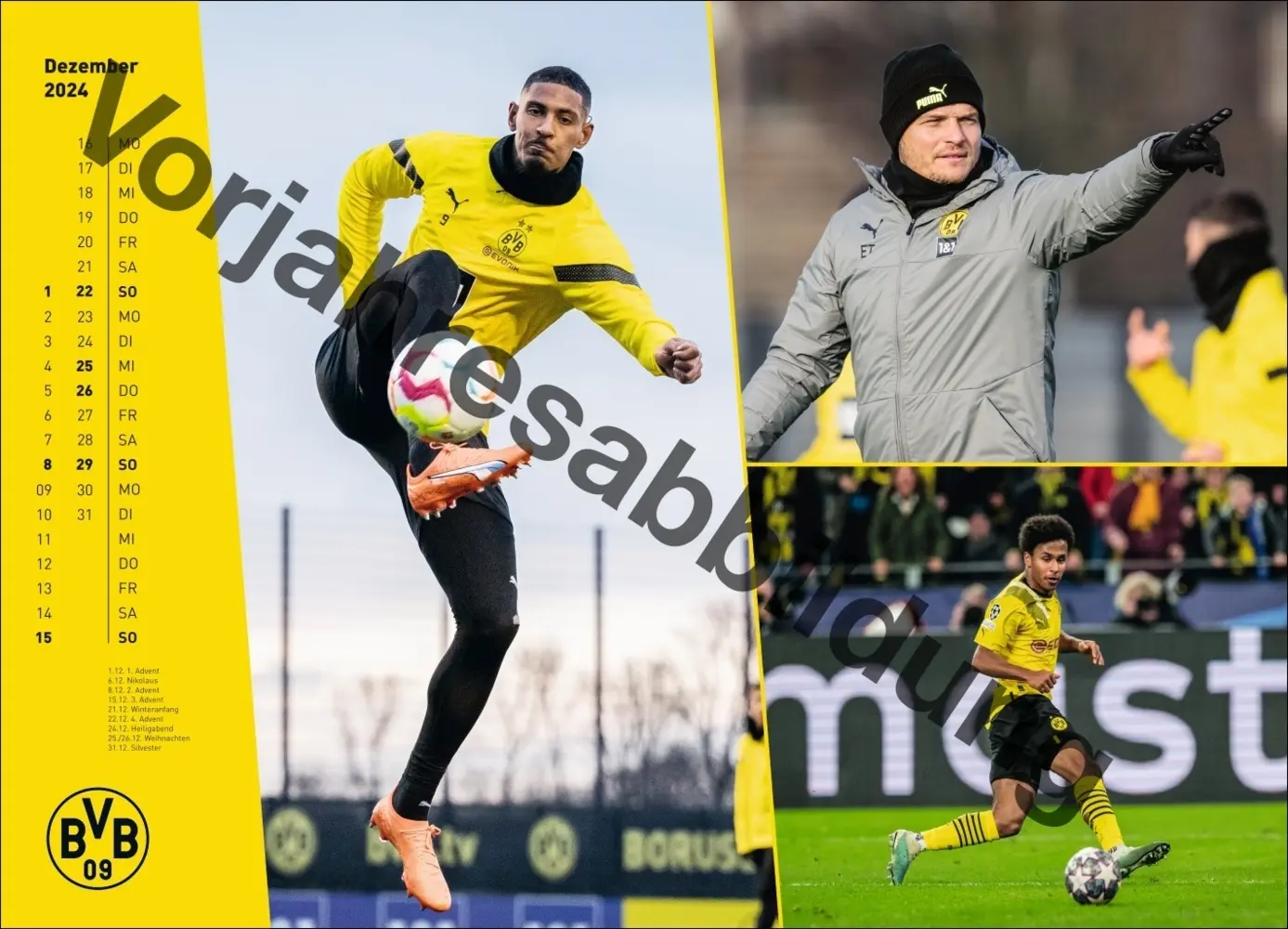 Bild: 9783756404735 | BVB Edition Kalender 2025 | Kalender | Spiralbindung | Deutsch | 2025