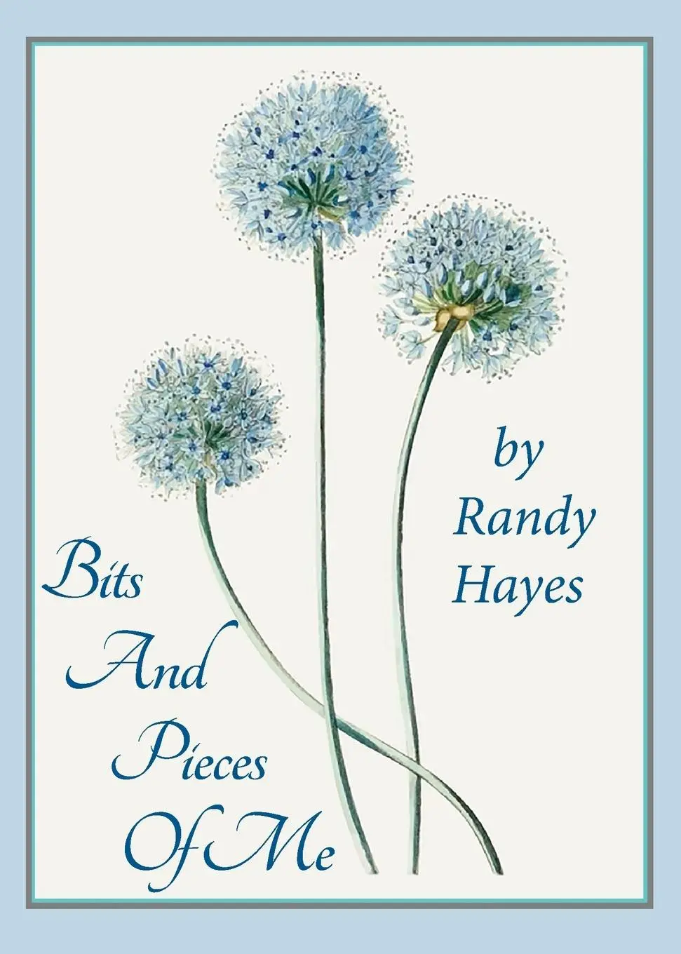 Cover: 9798989644735 | Bits And Pieces Of Me | Randy Hayes | Taschenbuch | Englisch | 2024