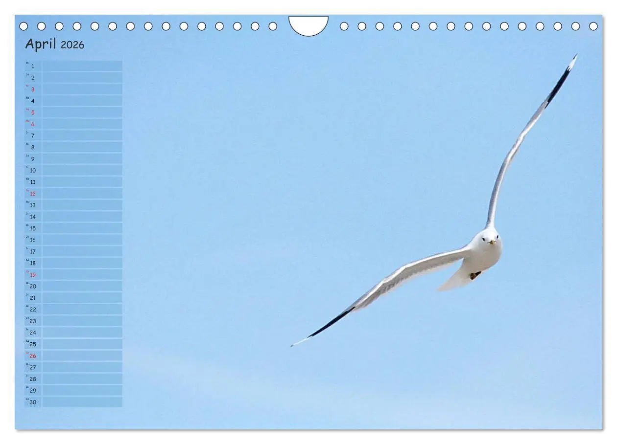 Bild: 9783457964835 | Rund um Kühlungsborn (Wandkalender 2026 DIN A4 quer), CALVENDO...