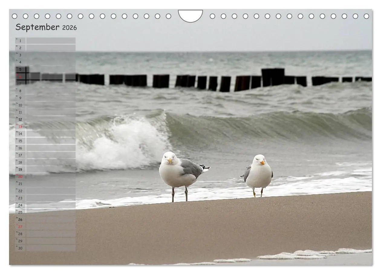Bild: 9783457964835 | Rund um Kühlungsborn (Wandkalender 2026 DIN A4 quer), CALVENDO...
