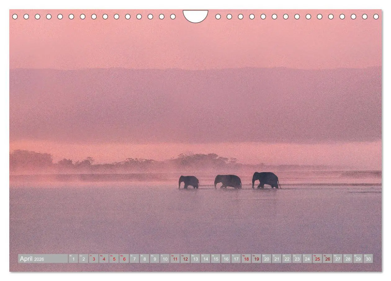 Bild: 9783457644935 | Spirit of Asia - Im Reich der guten Geister (Wandkalender 2026 DIN...
