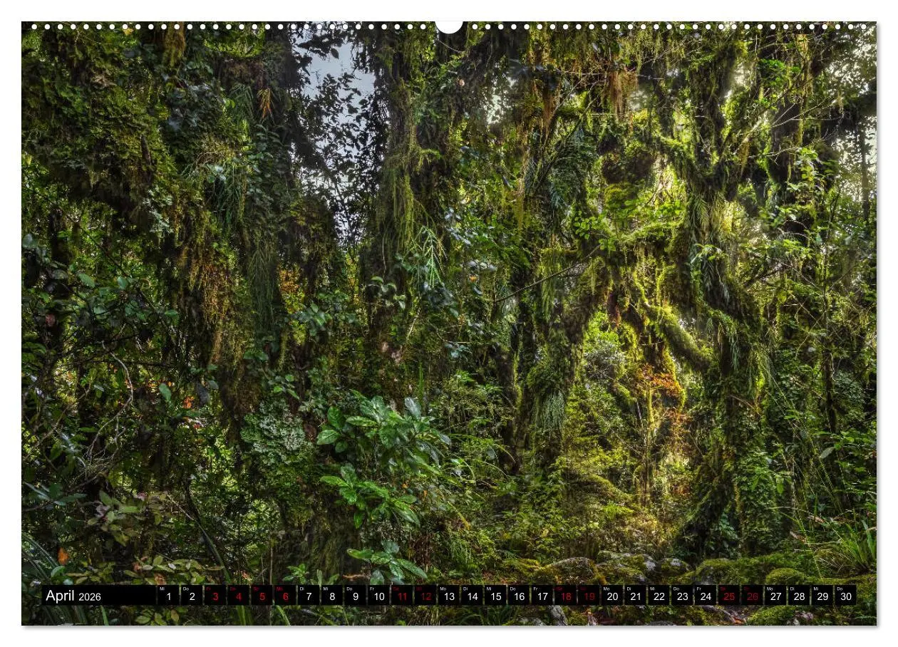 Bild: 9783457884935 | Trauminseln Neuseeland (Wandkalender 2026 DIN A2 quer), CALVENDO...