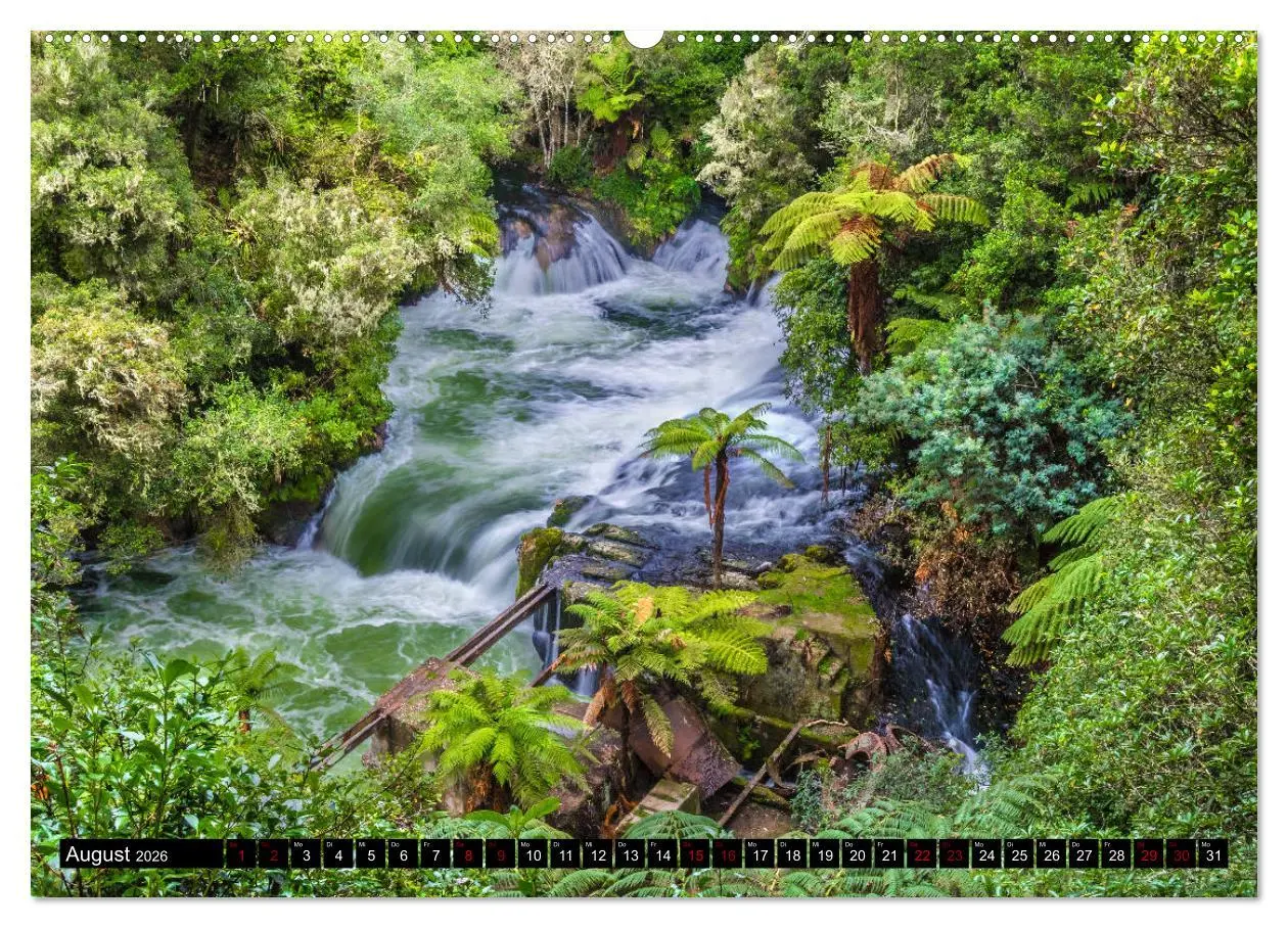 Bild: 9783457884935 | Trauminseln Neuseeland (Wandkalender 2026 DIN A2 quer), CALVENDO...