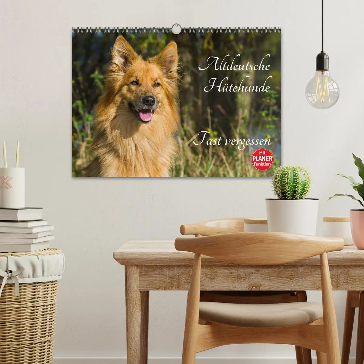 Bild: 9783516005035 | Altdeutsche Hütehunde - Fast vergessen (Wandkalender 2026 DIN A3...