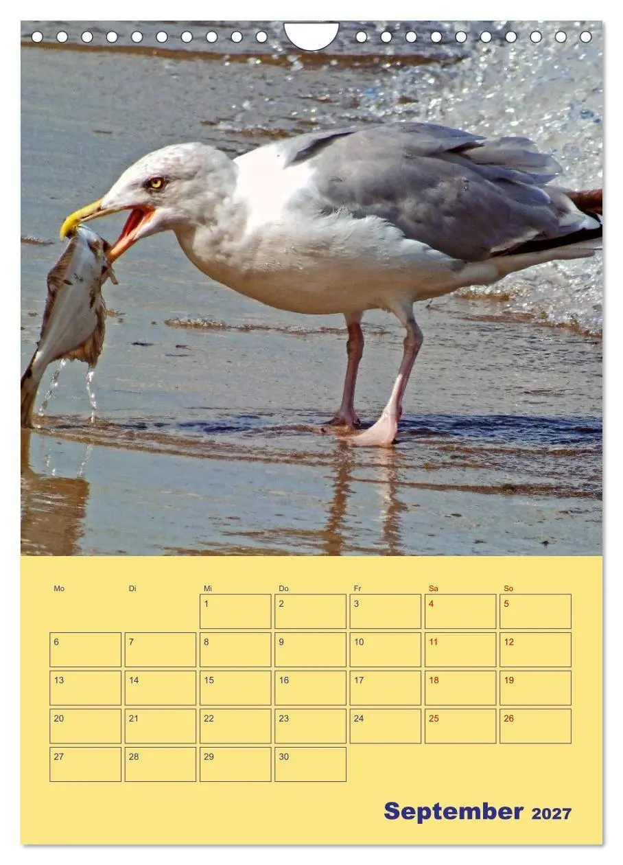Bild: 9783569335035 | Sehnsuchtsort Warnemünde (Wandkalender 2027 DIN A4 hoch), CALVENDO...