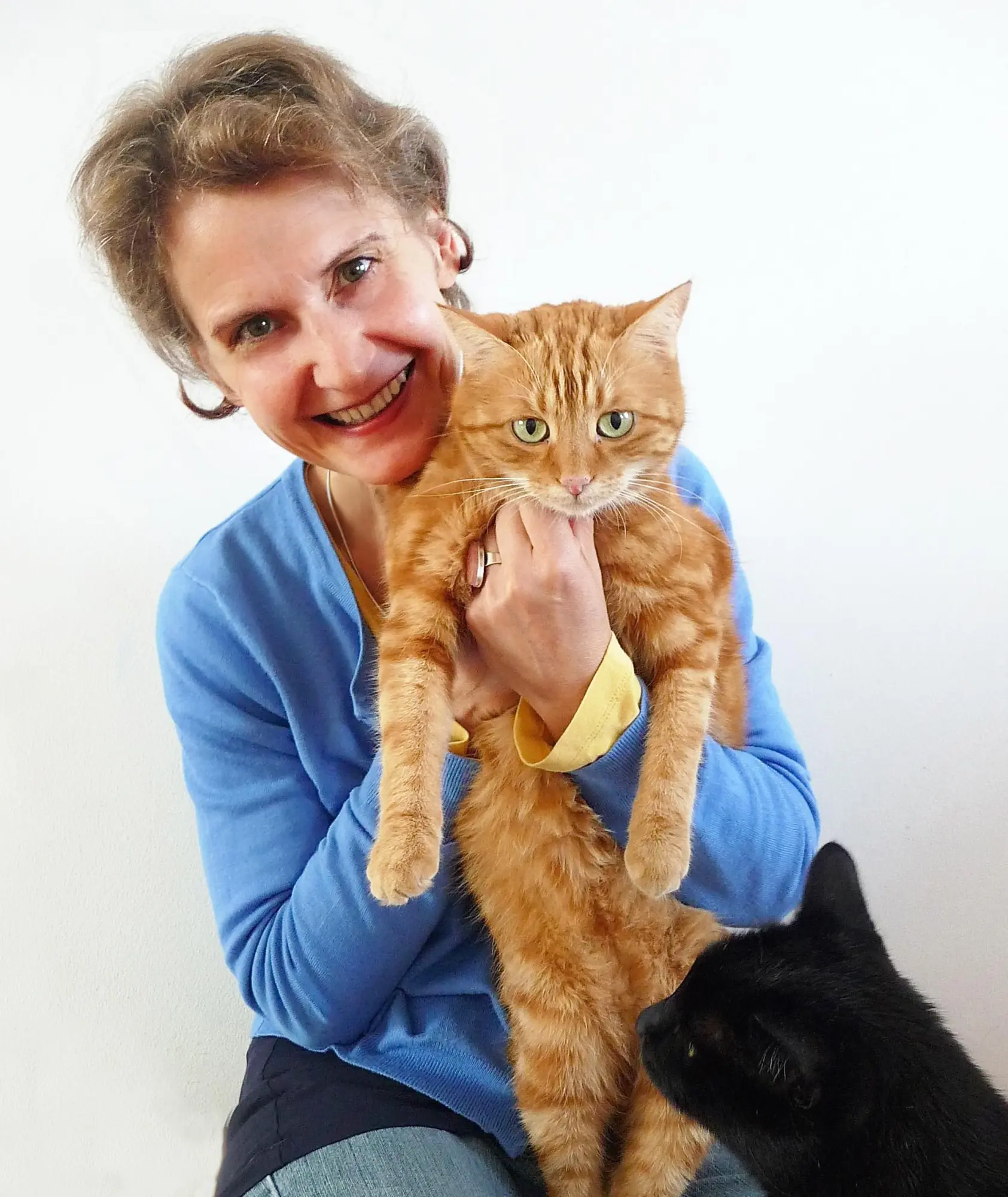 Autor: 9783990605035 | Die heilende Kraft der Katzen | Elke Söllner | Taschenbuch | 220 S.