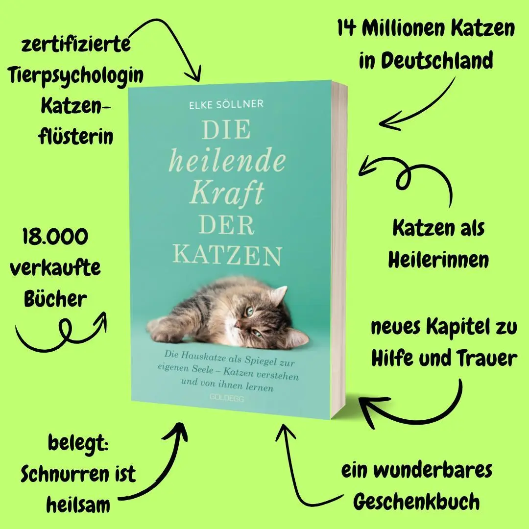 Bild: 9783990605035 | Die heilende Kraft der Katzen | Elke Söllner | Taschenbuch | 220 S.