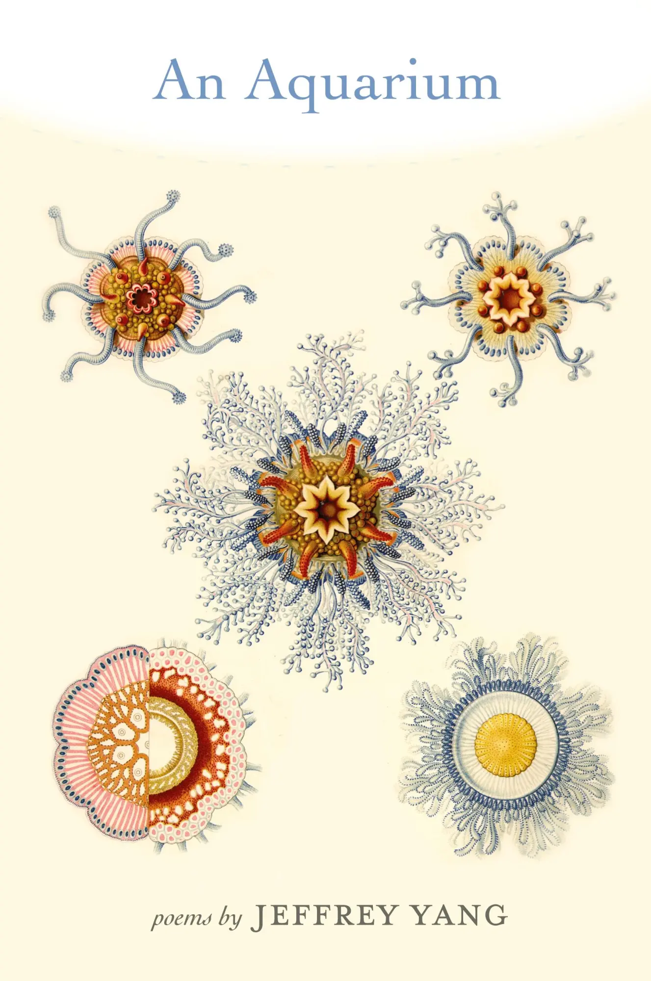 Cover: 9781555975135 | An Aquarium | Jeffrey Yang | Taschenbuch | Englisch | 2008