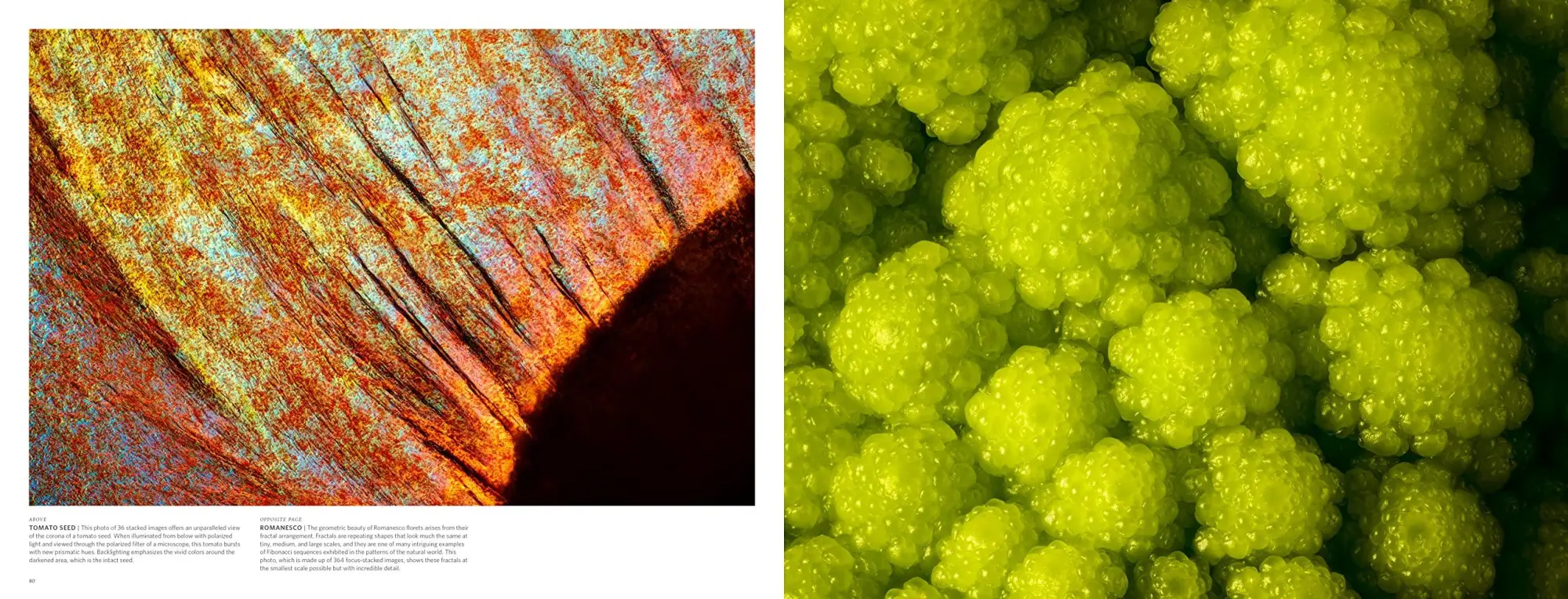 Bild: 9781737995135 | Food &amp; Drink | Modernist Cuisine Photography | Nathan Myhrvold | Buch