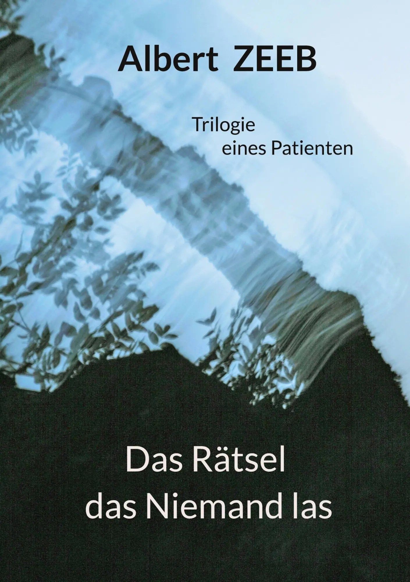 Cover: 9783695745135 | Das Rätsel das Niemand las | Trilogie eines Patienten | Albert Zeeb
