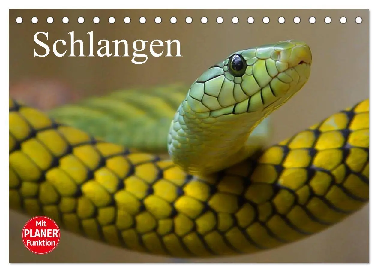 Cover: 9783457995235 | Schlangen (Tischkalender 2026 DIN A5 quer), CALVENDO Monatskalender