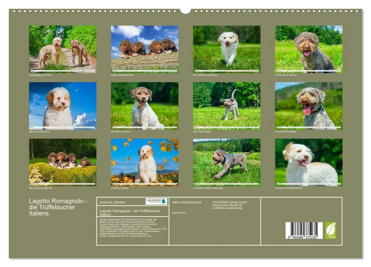 Bild: 9783594375235 | Lagotto Romagnolo - die Trüffelsucher Italiens (hochwertiger...