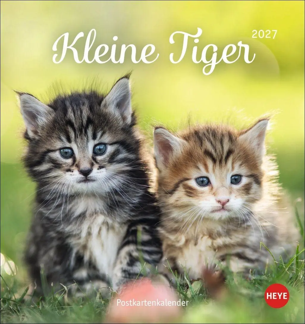 Cover: 9783756415335 | Katzen Postkartenkalender Kleine Tiger 2027 | Heye | Kalender | 13 S.
