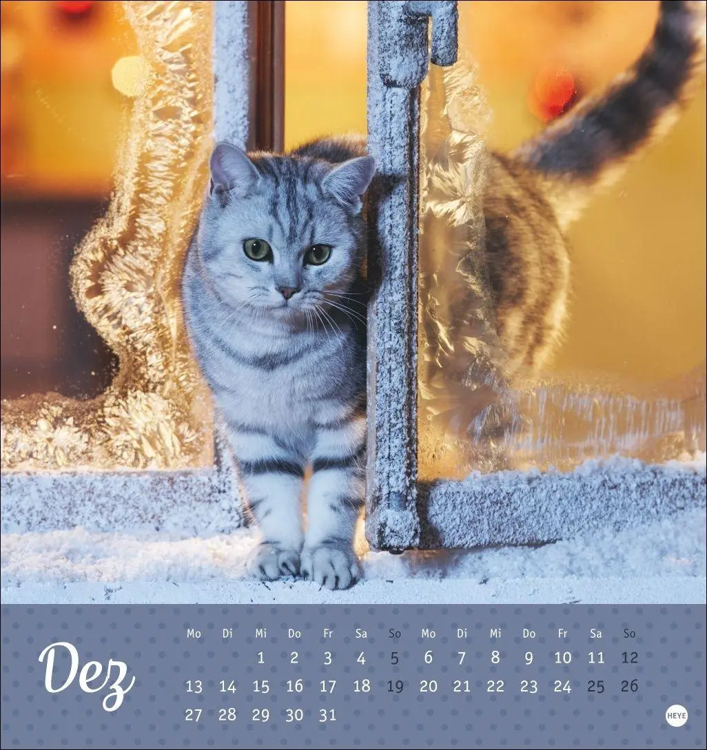 Bild: 9783756415335 | Katzen Postkartenkalender Kleine Tiger 2027 | Heye | Kalender | 13 S.