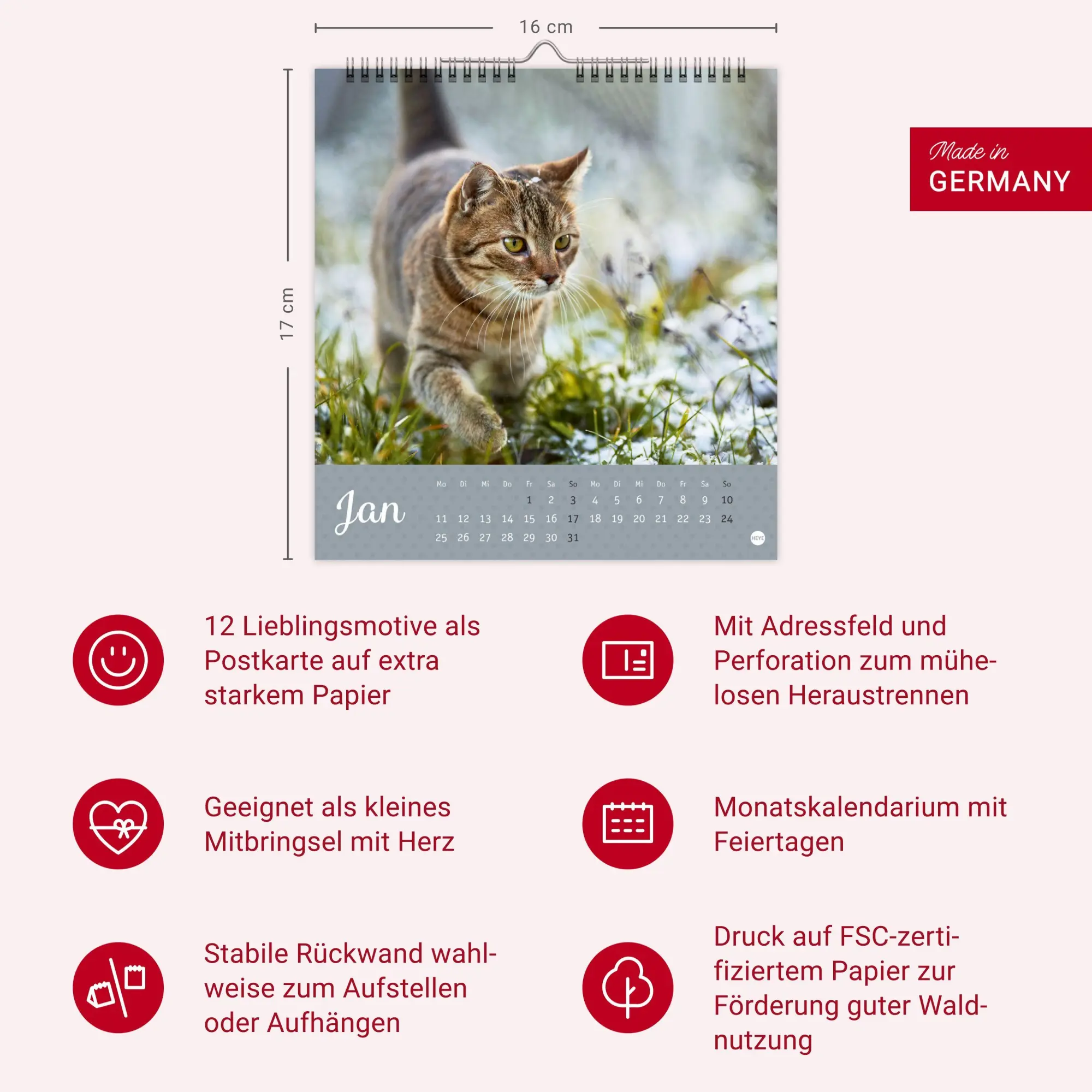 Bild: 9783756415335 | Katzen Postkartenkalender Kleine Tiger 2027 | Heye | Kalender | 13 S.
