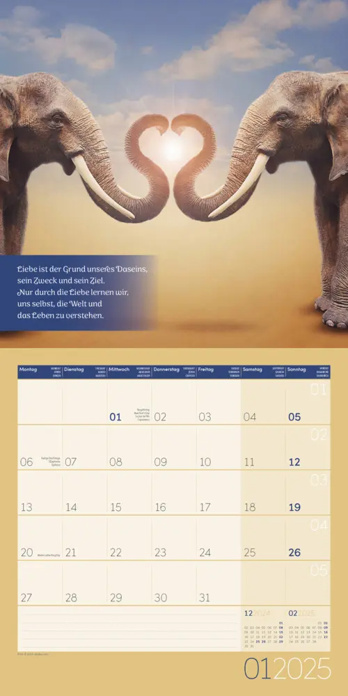 Bild: 9783838445335 | Alles wird gut! Kalender 2025 - 30x30 | Ackermann Kunstverlag | 2025