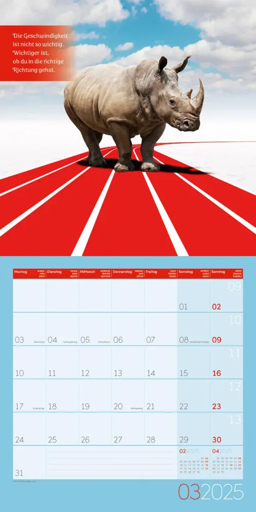 Bild: 9783838445335 | Alles wird gut! Kalender 2025 - 30x30 | Ackermann Kunstverlag | 2025