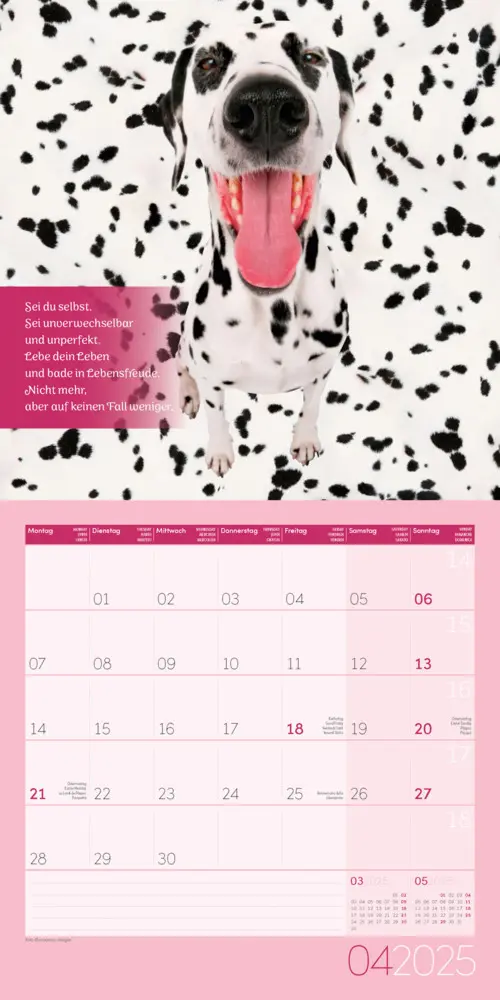Bild: 9783838445335 | Alles wird gut! Kalender 2025 - 30x30 | Ackermann Kunstverlag | 2025