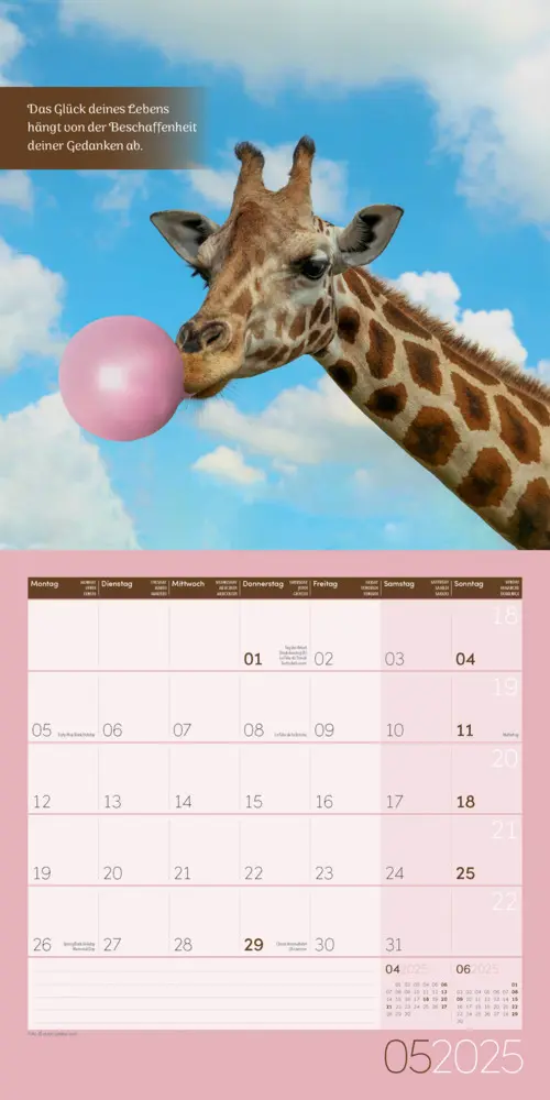 Bild: 9783838445335 | Alles wird gut! Kalender 2025 - 30x30 | Ackermann Kunstverlag | 2025