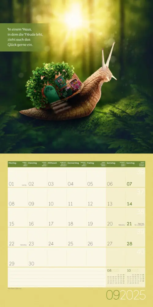 Bild: 9783838445335 | Alles wird gut! Kalender 2025 - 30x30 | Ackermann Kunstverlag | 2025