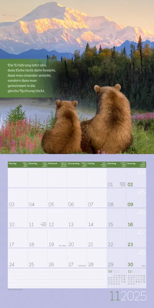 Bild: 9783838445335 | Alles wird gut! Kalender 2025 - 30x30 | Ackermann Kunstverlag | 2025