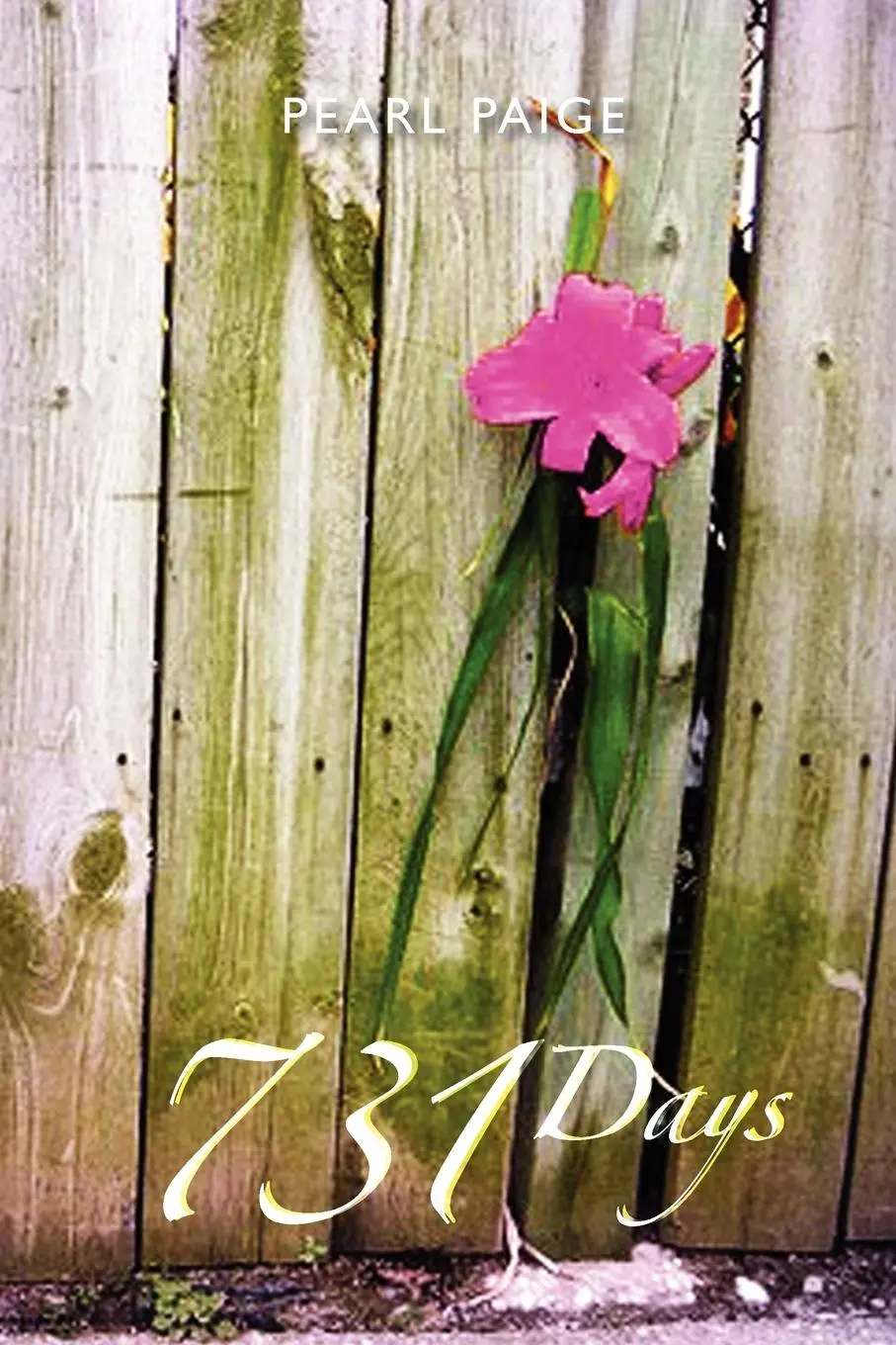 Cover: 9781462885435 | 731 Days | Pearl Paige | Taschenbuch | Kartoniert / Broschiert