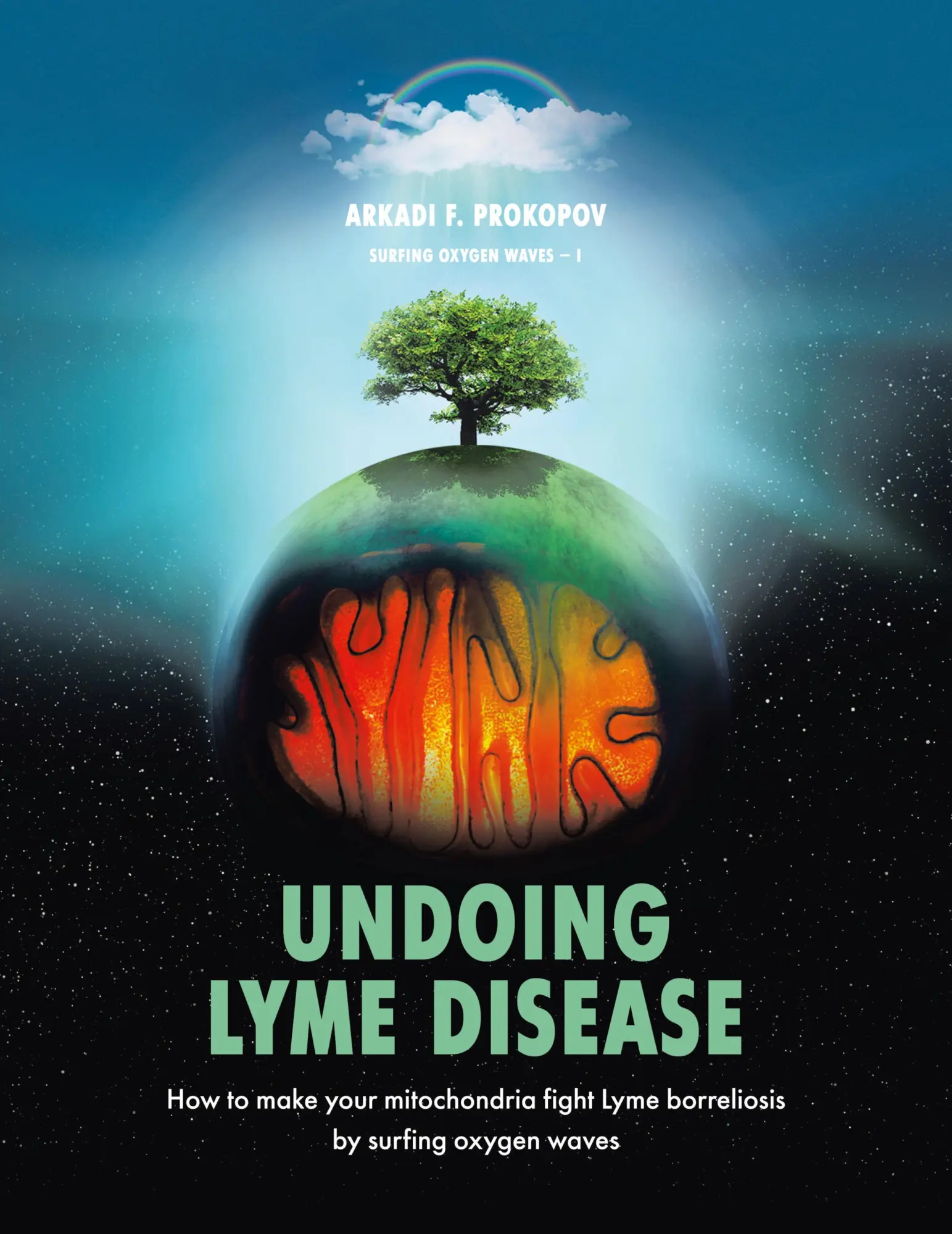 Cover: 9781543755435 | Undoing Lyme Disease | Arkadi F. Prokopov | Taschenbuch | Englisch