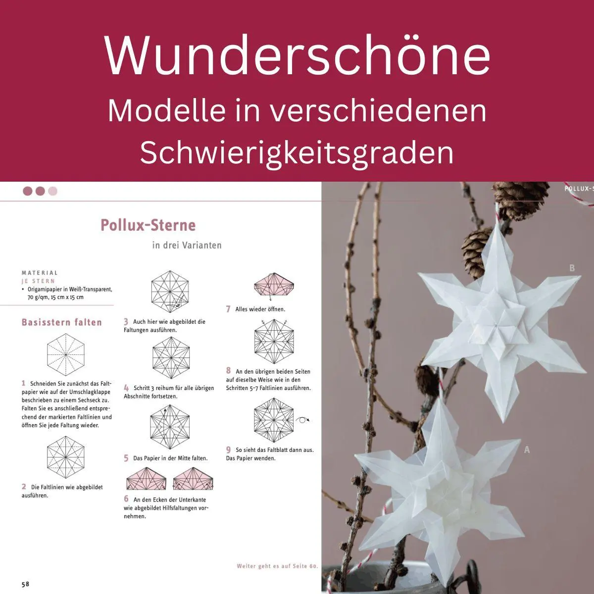 Bild: 9783735855435 | Zarte Origamisterne (kreativ.kompakt.) | Tomoko Fuse | Taschenbuch