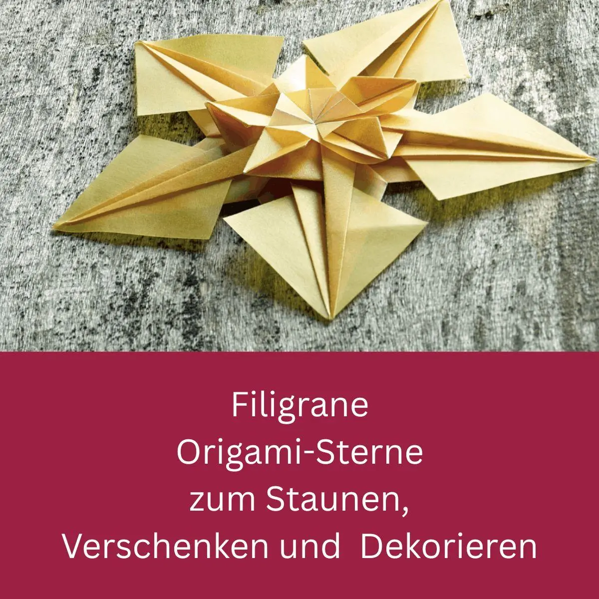 Bild: 9783735855435 | Zarte Origamisterne (kreativ.kompakt.) | Tomoko Fuse | Taschenbuch