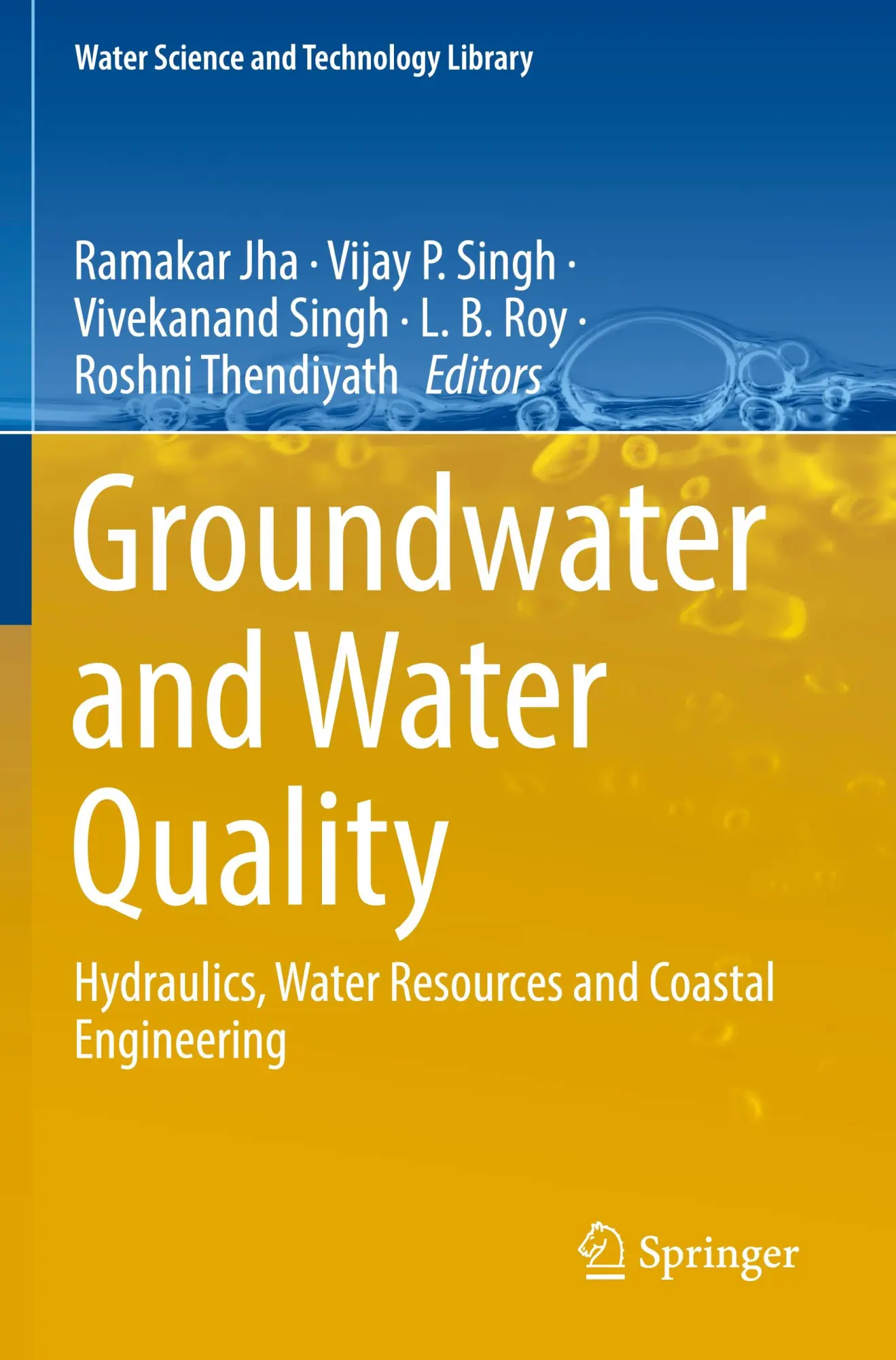 Groundwater and Water Quality: Hydraulics, Water Resources and Coastal Engineering (Water Science and Technology Library, 119, Band 119)