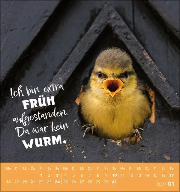 Bild: 9783819305535 | Tierisch lustig 2027 | aufstellbarer Postkartenkalender | Korsch