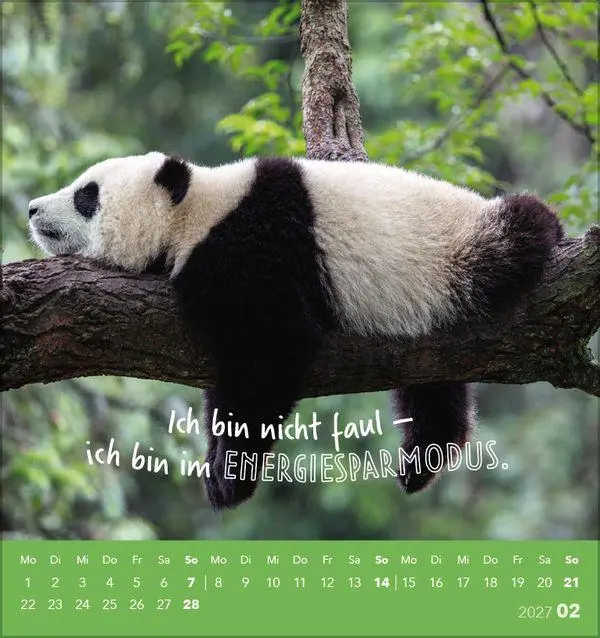 Bild: 9783819305535 | Tierisch lustig 2027 | aufstellbarer Postkartenkalender | Korsch