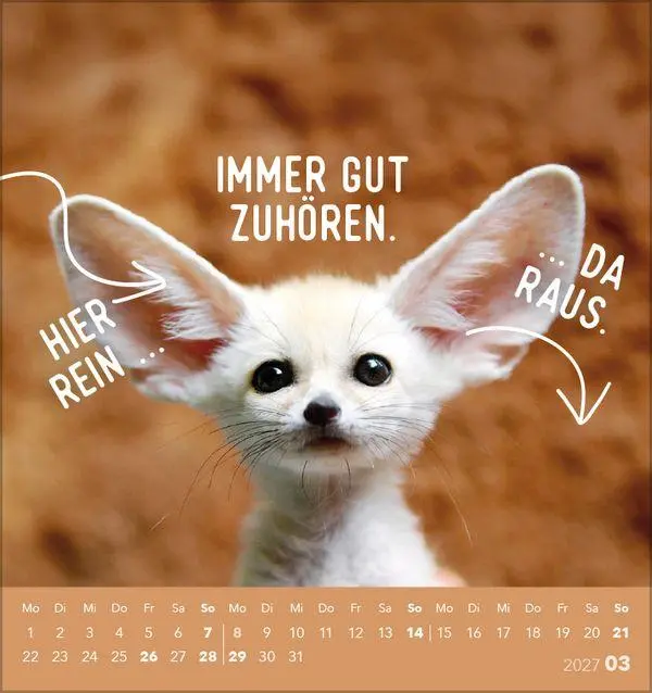 Bild: 9783819305535 | Tierisch lustig 2027 | aufstellbarer Postkartenkalender | Korsch